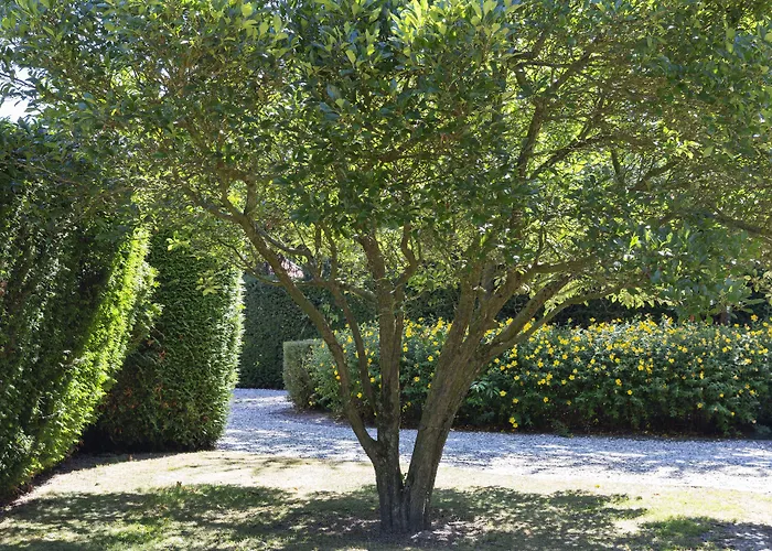 Hotell Onthaasten In De Achterhoek 3*